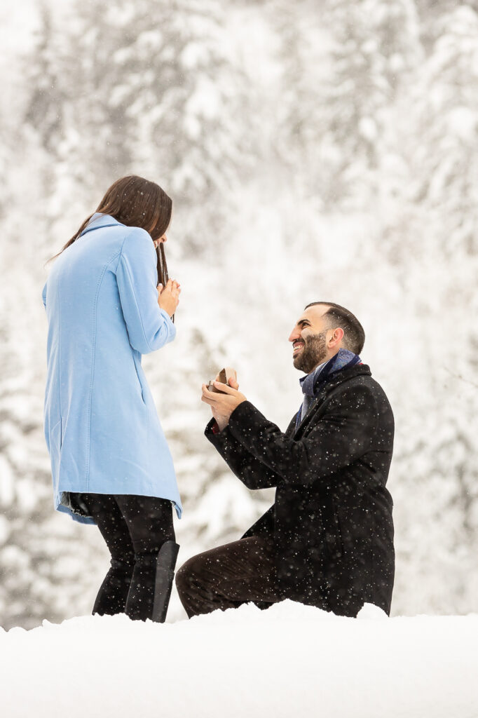 Surprise Proposals